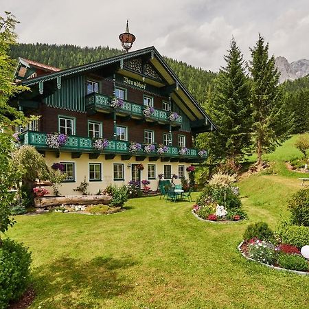 Brandhof Apartment Ramsau am Dachstein Ngoại thất bức ảnh