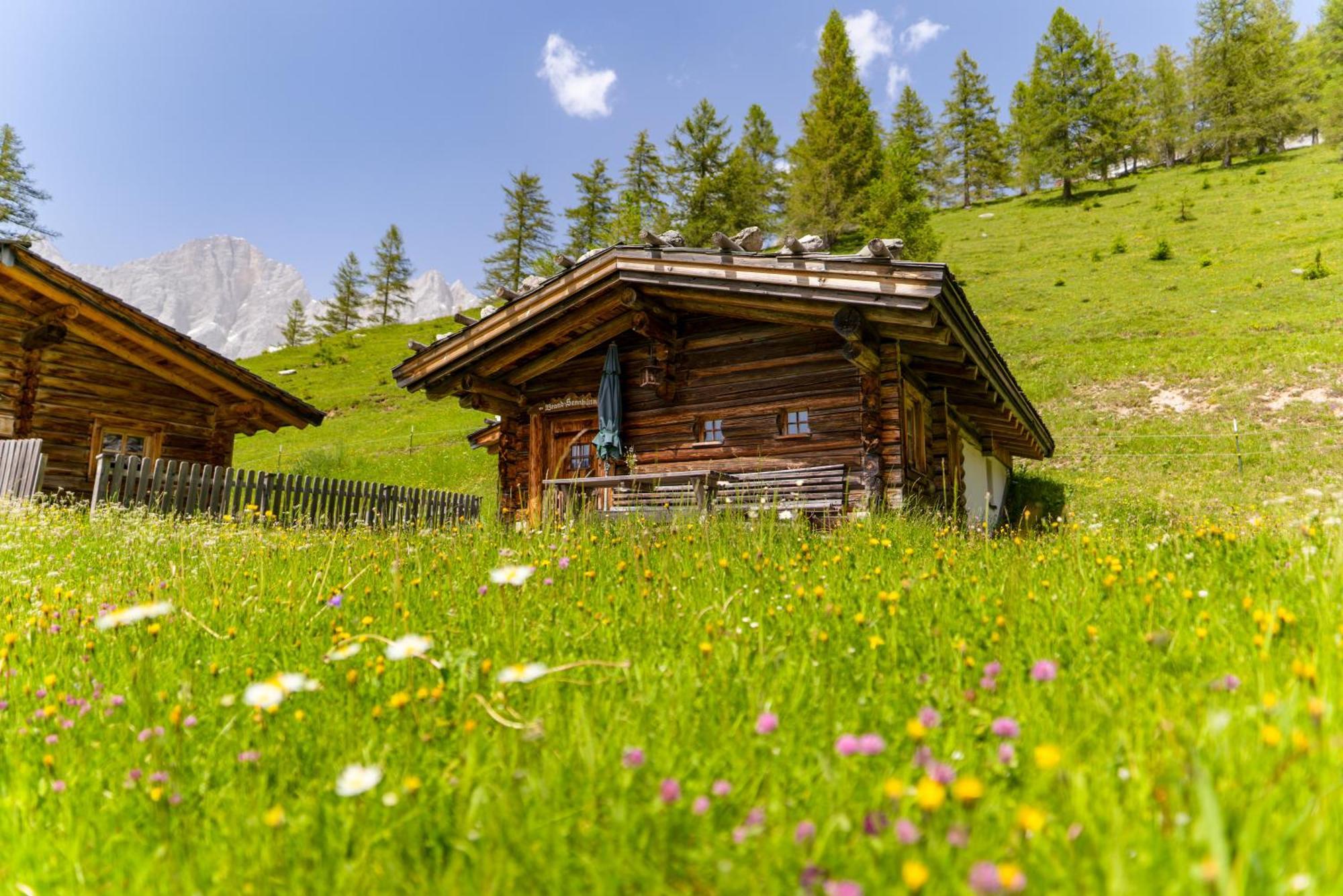 Brandhof Apartment Ramsau am Dachstein Ngoại thất bức ảnh